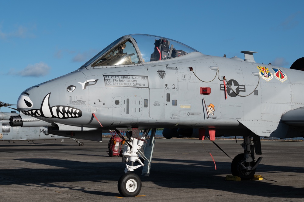 DVIDS - Images - USAF Reserve 924th FG, 944th FW bring 200+ Airmen, 10 ...