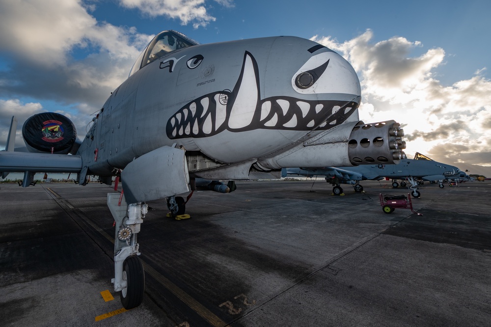 USAF Reserve 924th FG, 944th FW bring 200+ Airmen, 10 A-10 Warthogs to Hawaii for RIMPAC 2022