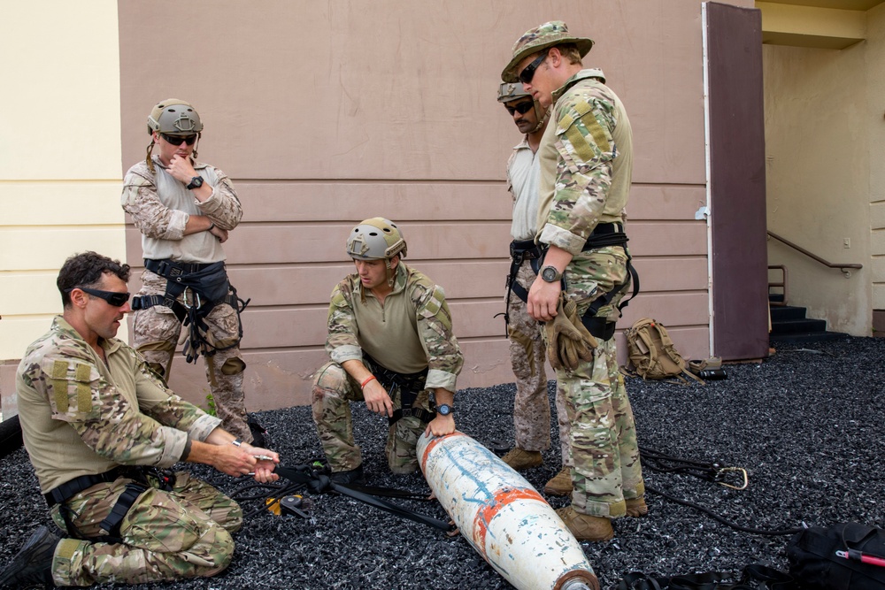 EODMU5 attend technical rope training