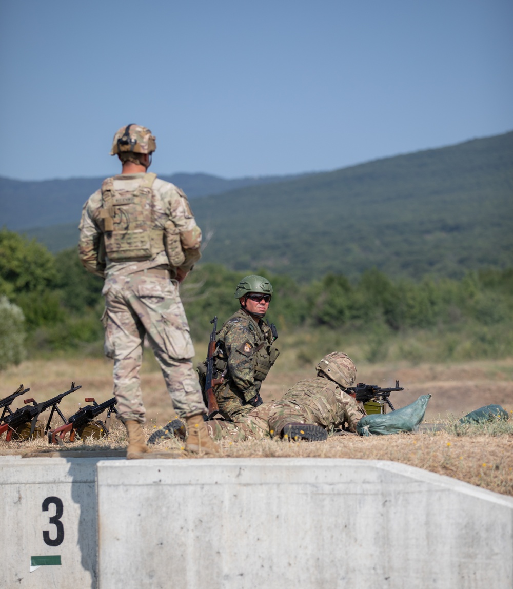 Partner forces participate in weapons exchange during Platinum Lion ‘22