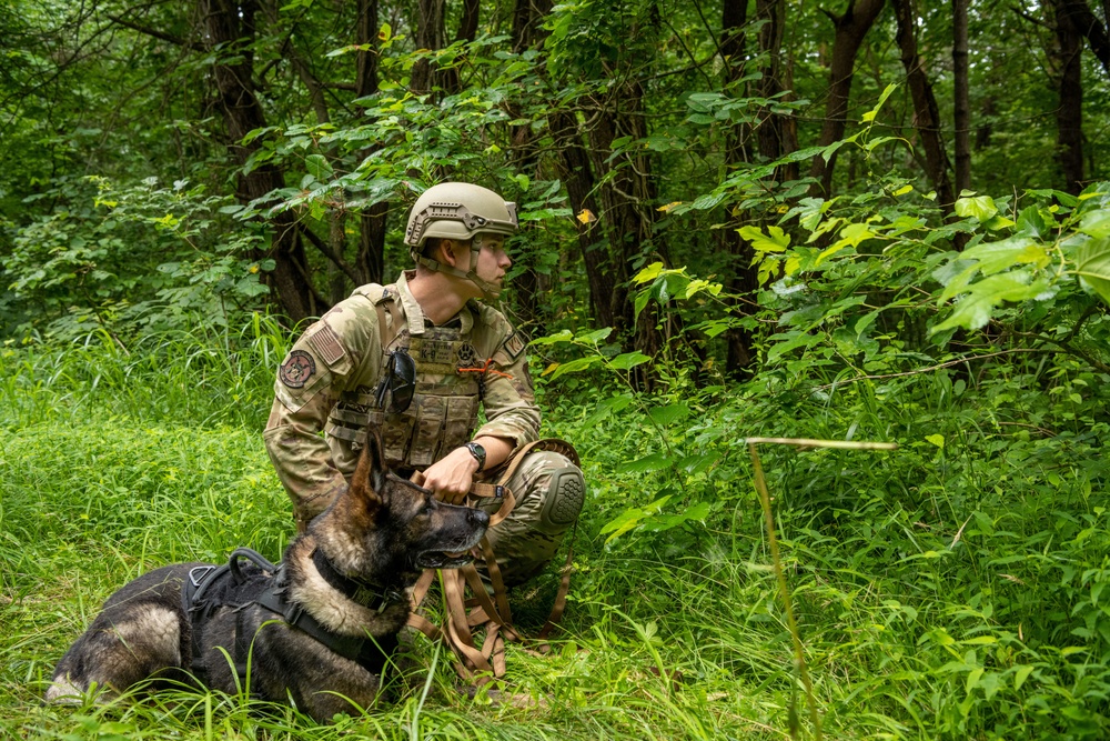 PACAF EOD ignites perfect training