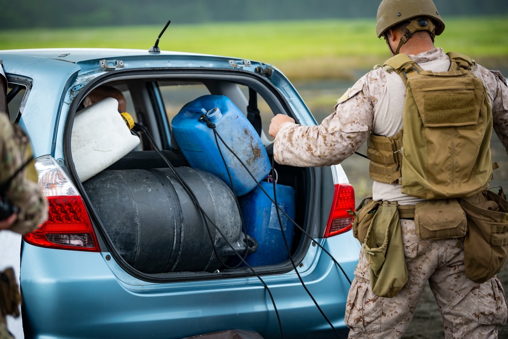 PACAF EOD ignites perfect training