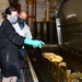 FRCE materials engineers assist Coast Guard with parts backlog