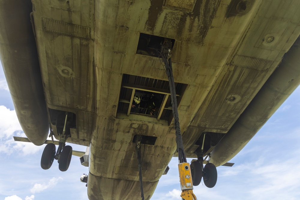 Hide and Seek Field Exercise with Combat Logistics Battalion 24