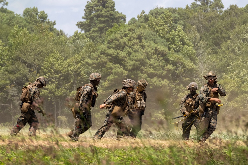 Hide and Seek Field Exercise with Combat Logistics Battalion 24