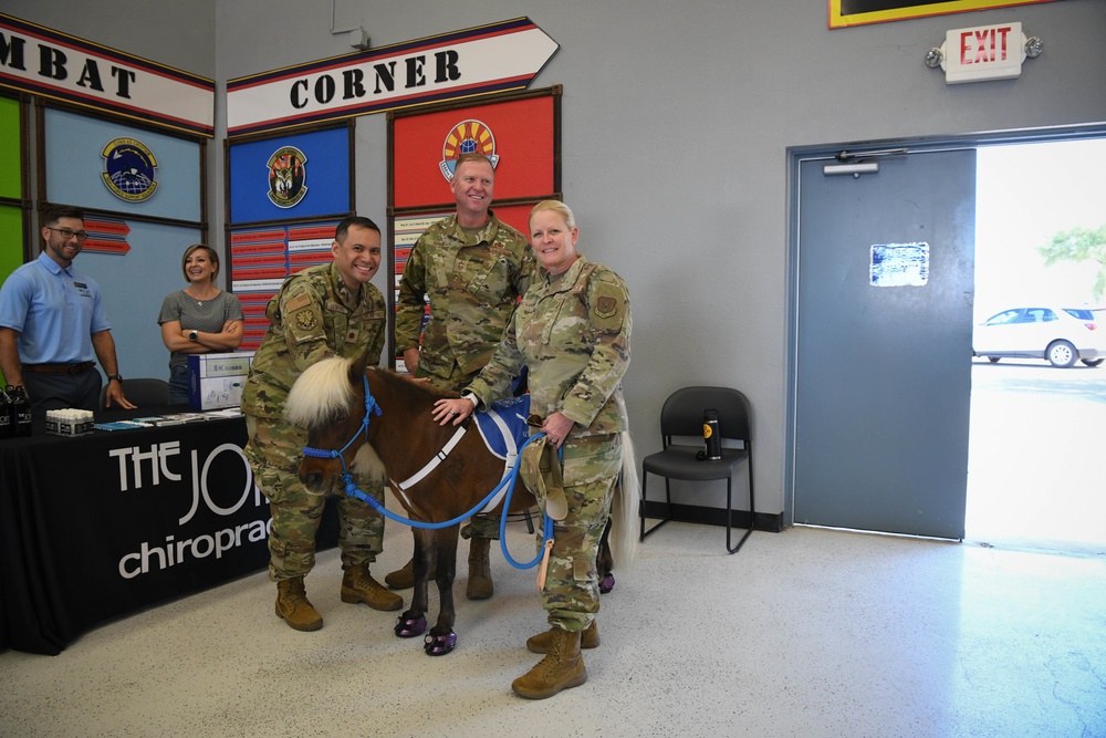 Spring Into Wellness