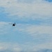 Army UH-60 Black Hawk crews support summer training at Fort McCoy