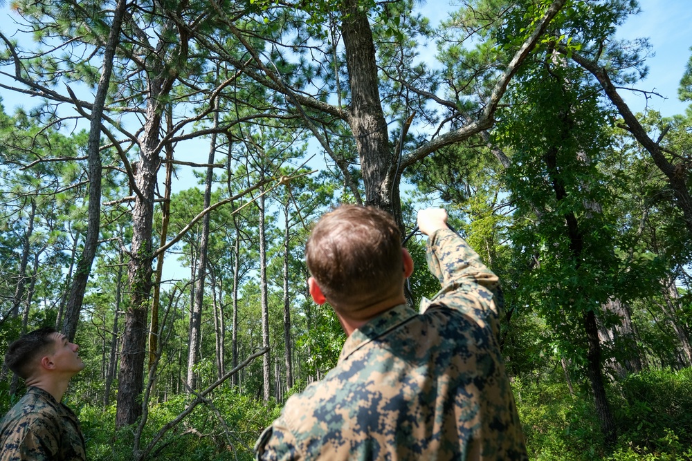 Exercise Hide and Seek: Ground Sensor Platoon recovers radio receivers