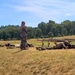 2nd Battalion, 24th Marines complete rifle qualification training at Fort McCoy