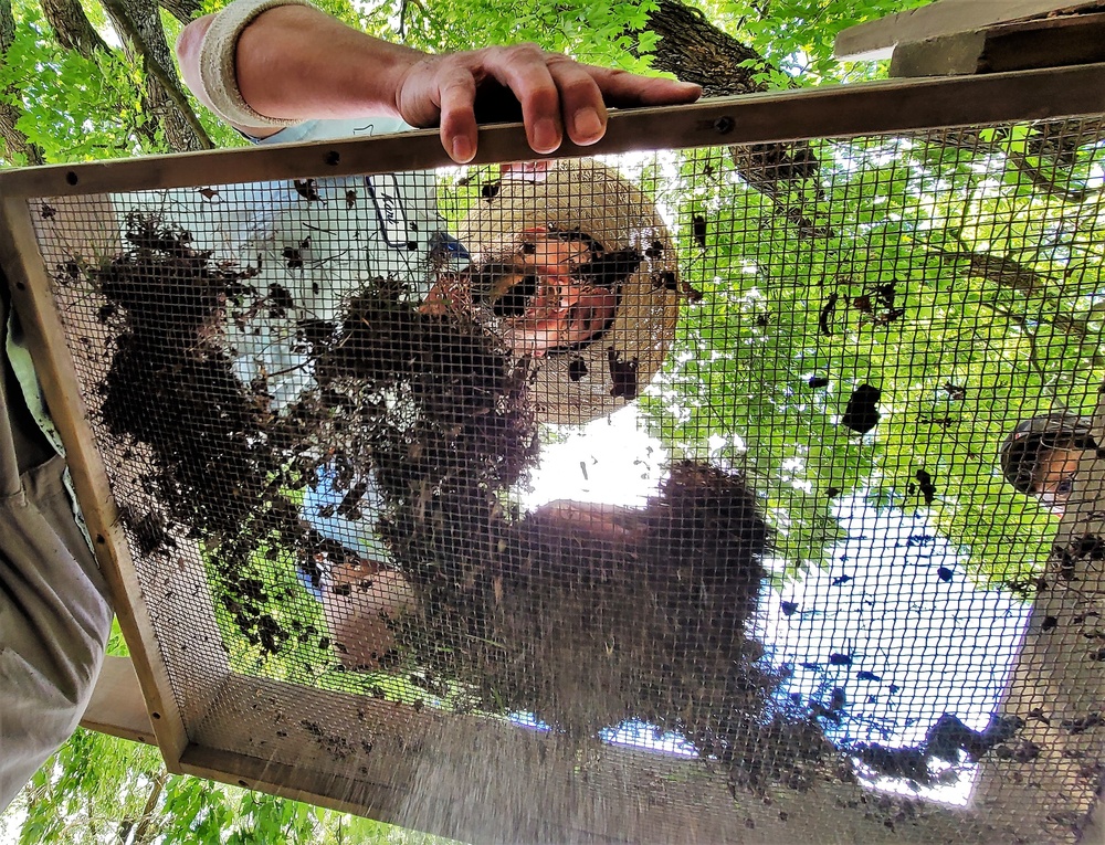 Archaeology team works on special survey on Fort McCoy's South Post