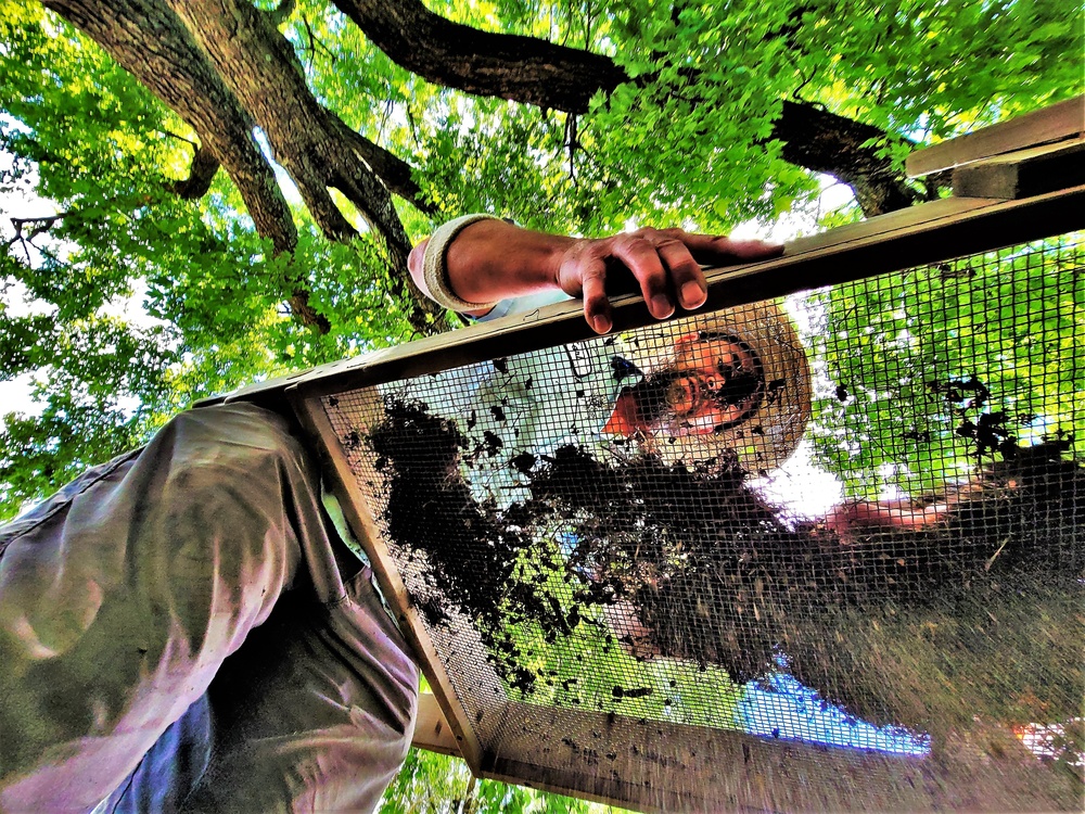 Archaeology team works on special survey on Fort McCoy's South Post