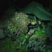 International Specialty Training Center Night Sniper Course