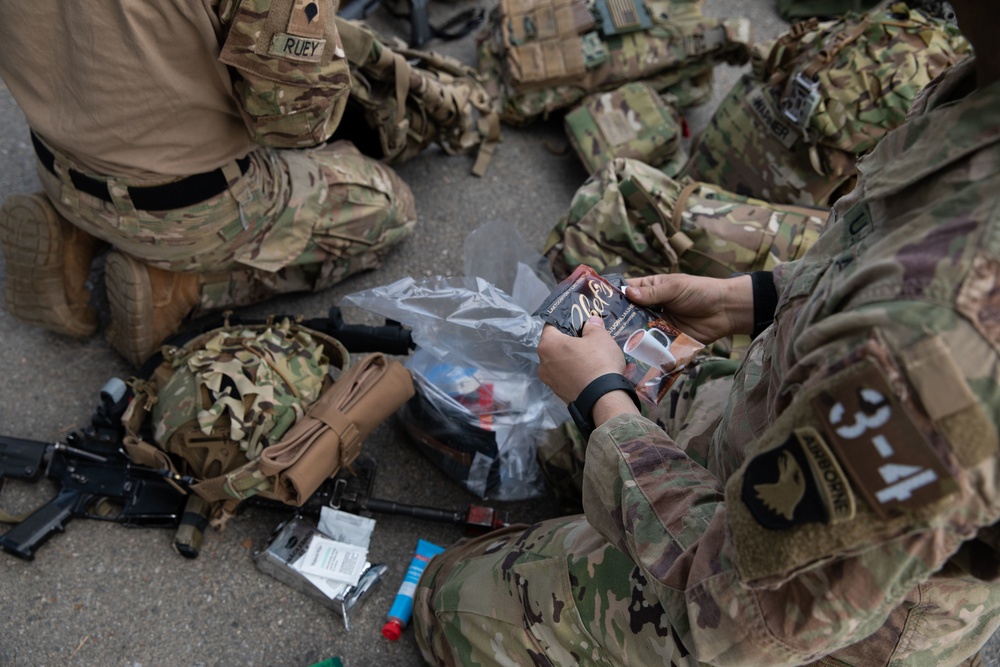 U.S. and Finnish Soldiers Conduct a Situational Training Exercise