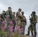 U.S. and Finnish Soldiers Conduct a Situational Training Exercise