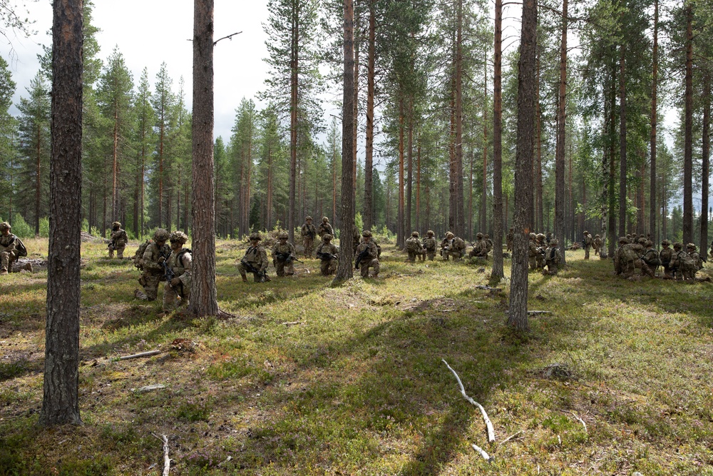 U.S. and Finnish Soldiers Conduct a Situational Training Exercise