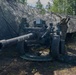 U.S. Conducts Field Artillery Training In Support of Finnish STX