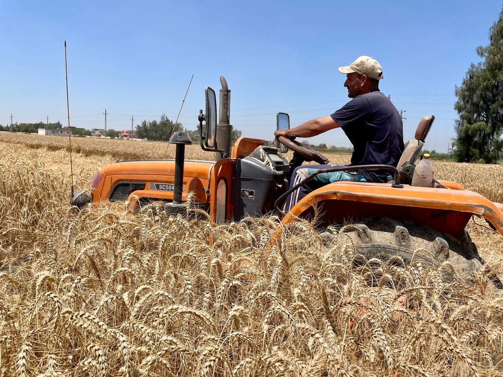 USAID Programs Support Egypt`s Food Security