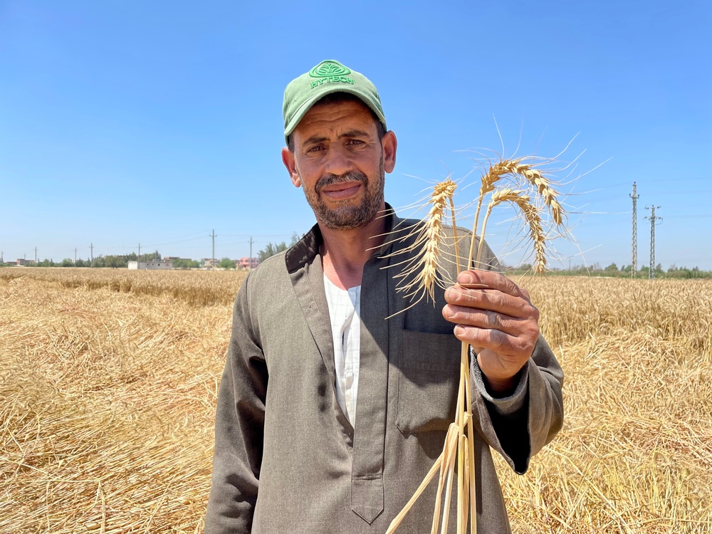 USAID Programs Support Egypt`s Food Security