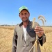 USAID Programs Support Egypt`s Food Security