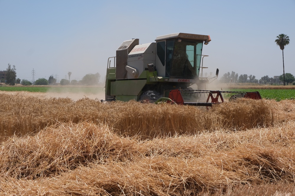 USAID Programs Support Egypt`s Food Security