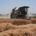 USAID Programs Support Egypt`s Food Security