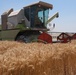 USAID Programs Support Egypt`s Food Security