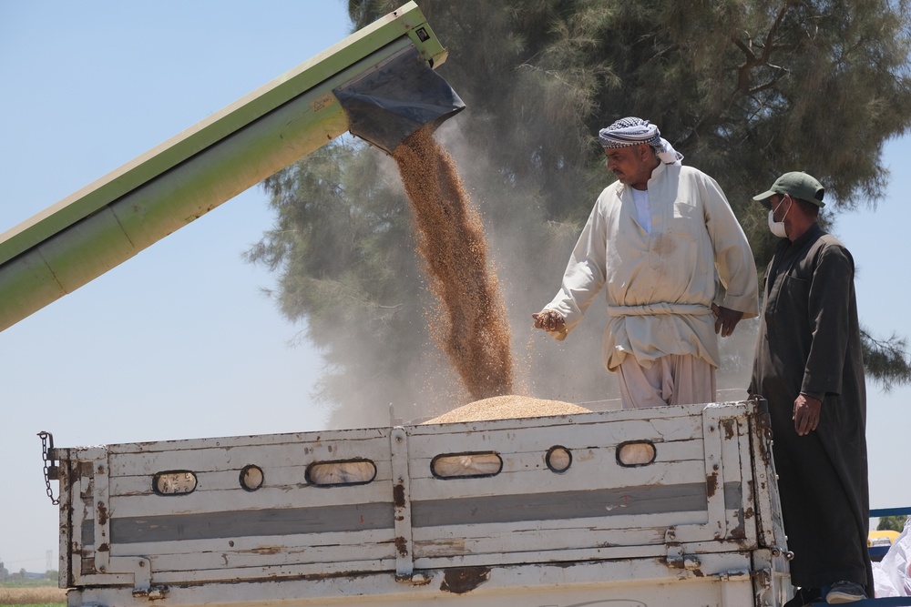 USAID Programs Support Egypt`s Food Security