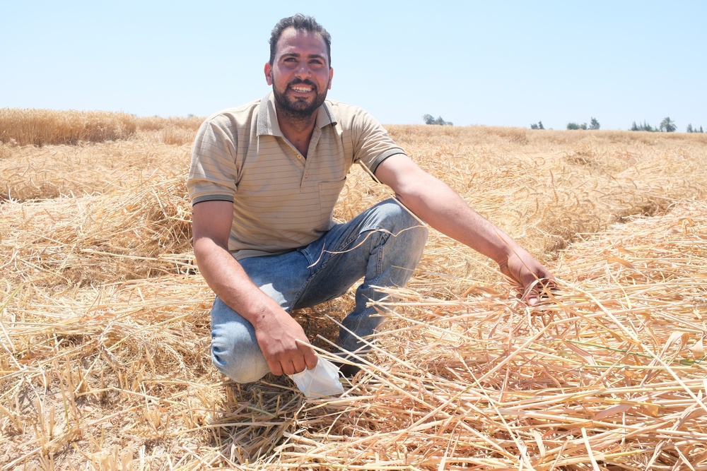 USAID Programs Support Egypt`s Food Security