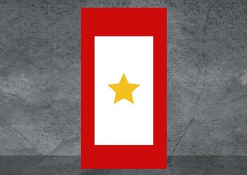 Gold Star Children's Day