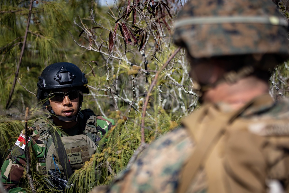 RIMPAC 2022: Multinational Littoral Operations Exercise