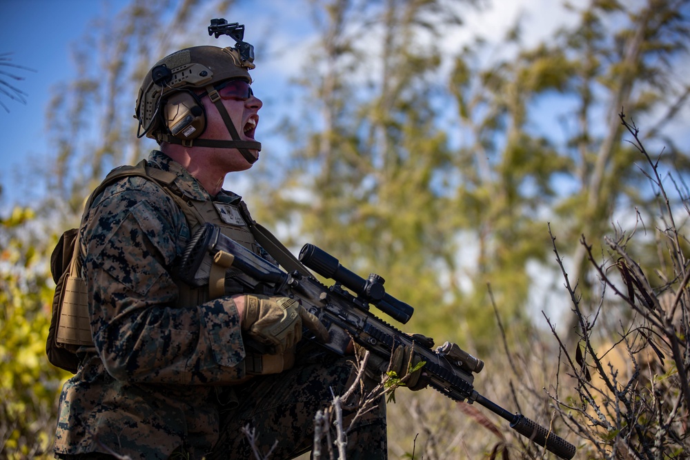 RIMPAC 2022: Multinational Littoral Operations Exercise