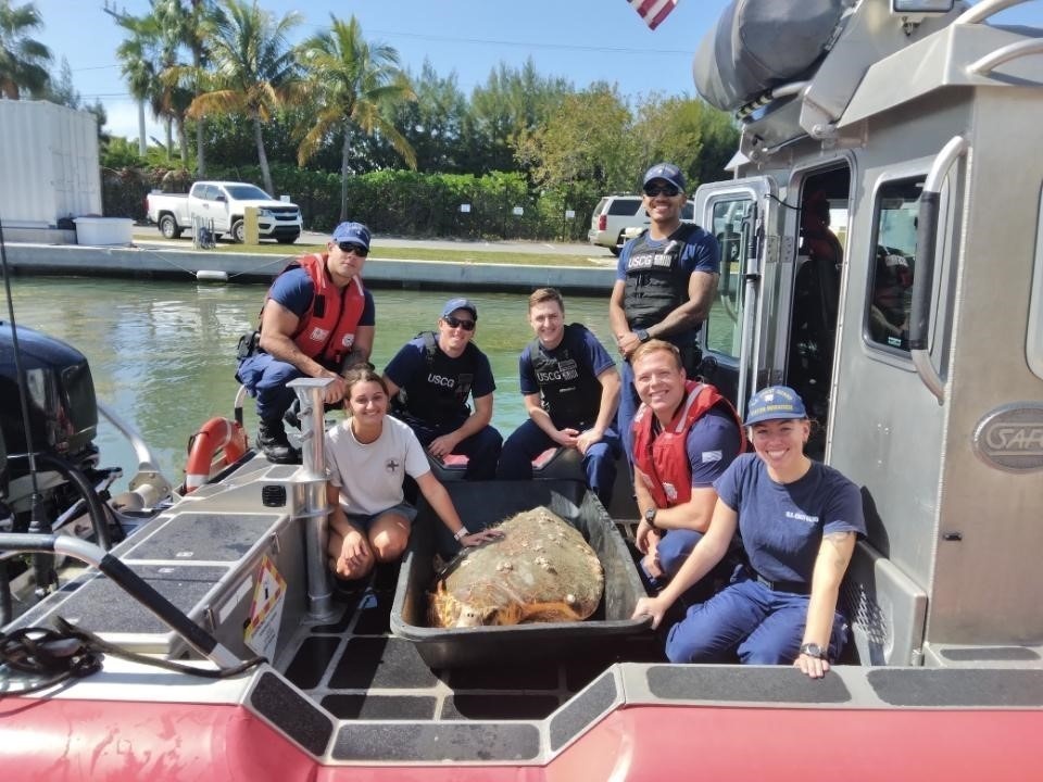 Sea Turtle Rescue