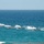 RIMPAC 2022 Amphibious Raid RIMPAC 2022 Amphibious Raid