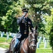 Military Funeral Honors with Funeral Escort are Conducted for U.S. Army 1st Lt. Myles W. Esmay in Section 36