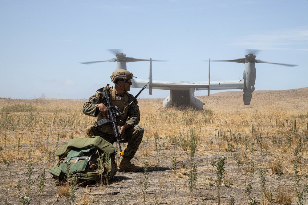 3rd Bn., 5th Marines, conducts Readiness Exercise 22.2