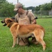 Wolf Pack MWD handlers defy the odds, serve together