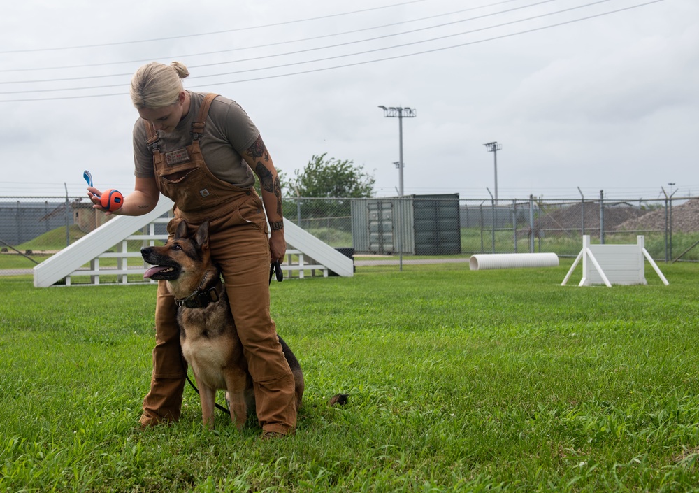 Wolf Pack MWD handlers defy the odds, serve together