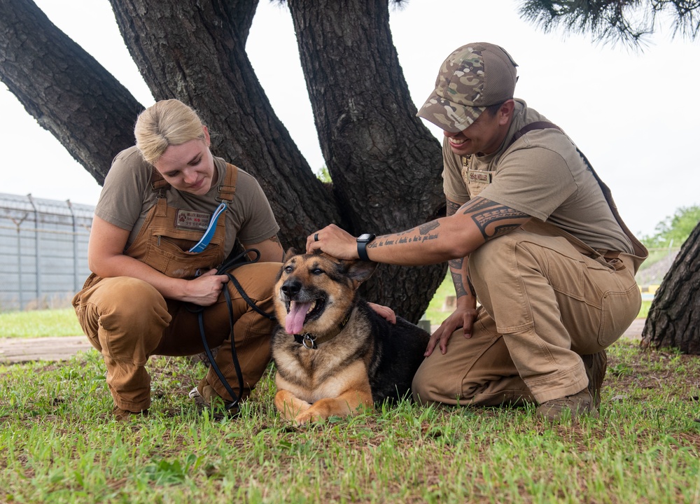 Wolf Pack MWD handlers defy the odds, serve together
