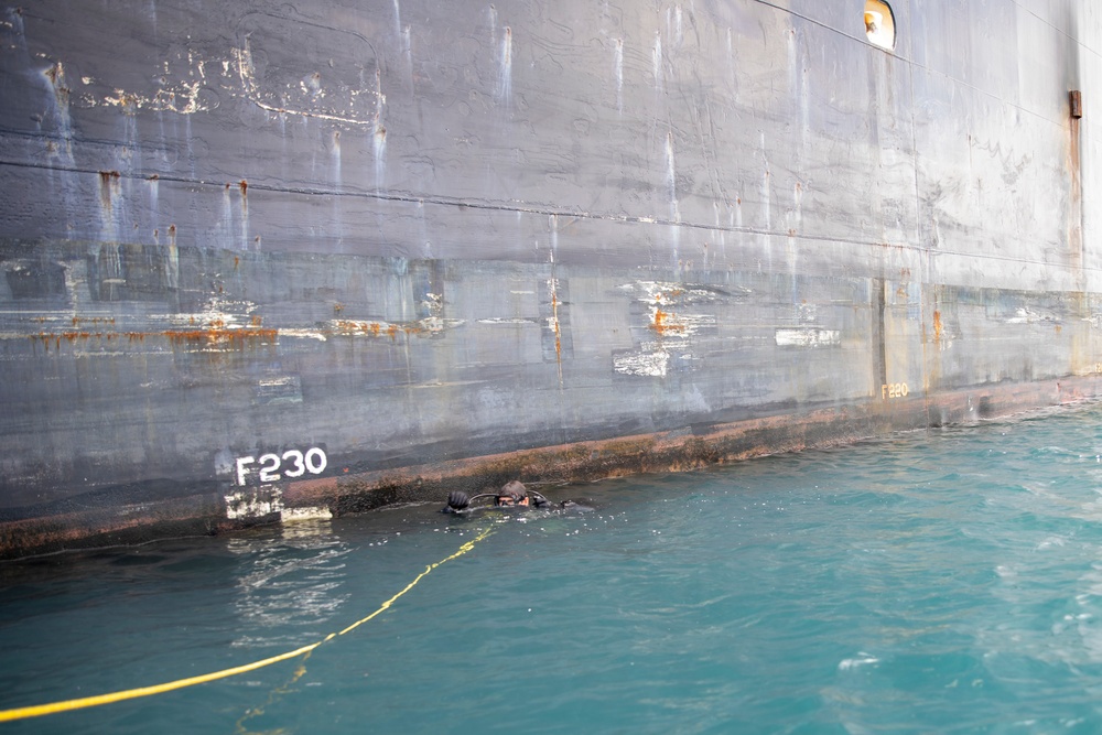 EODMU5 conduct limpet training