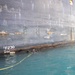 EODMU5 conduct limpet training