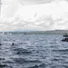 EODMU5 conduct limpet training