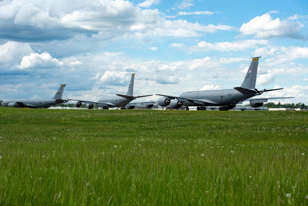 171st Elephant Walk