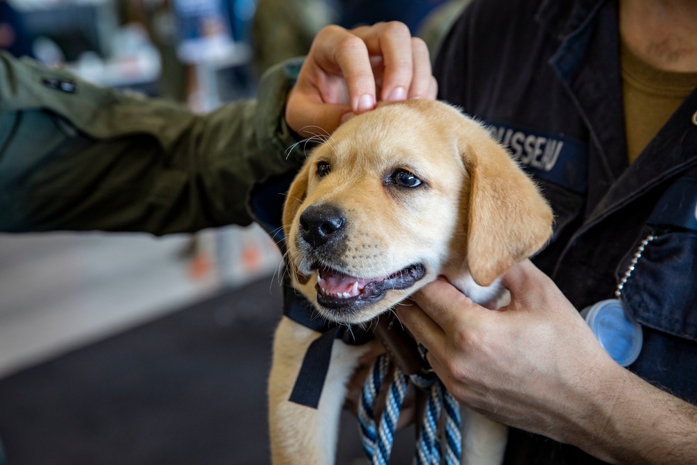 USS George H.W. Bush Recieves Puppy Love and Kisses