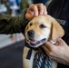USS George H.W. Bush Recieves Puppy Love and Kisses