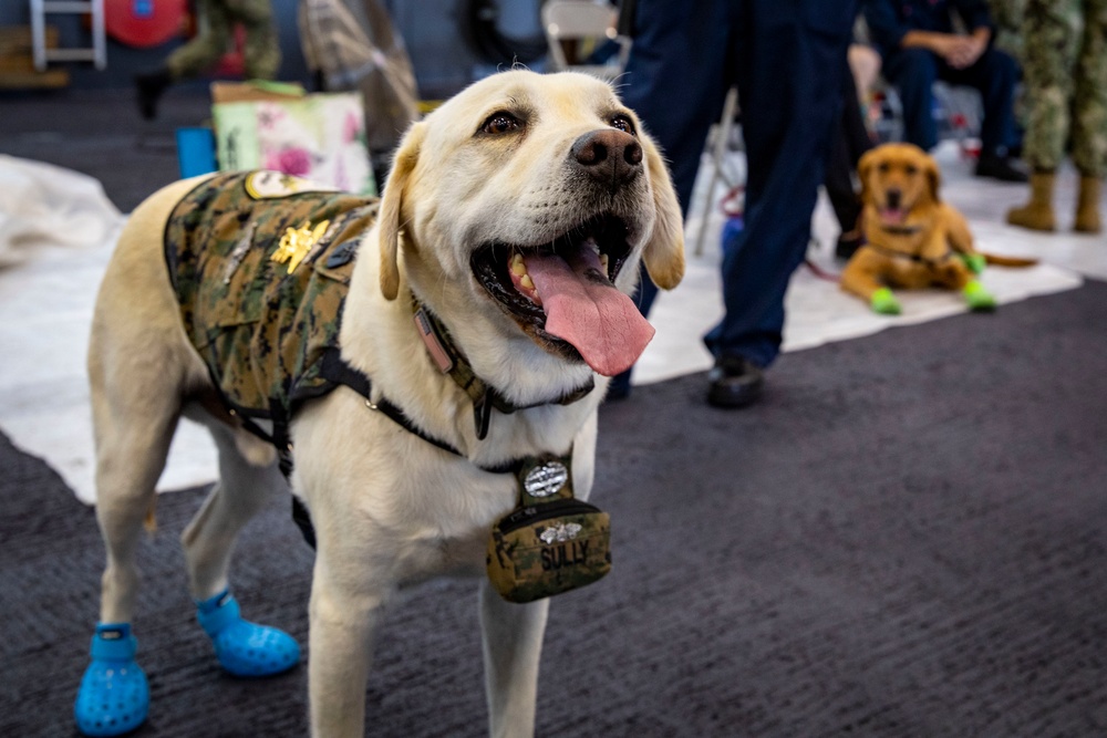 USS George H.W. Bush Recieves Puppy Love and Kisses
