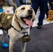 USS George H.W. Bush Recieves Puppy Love and Kisses