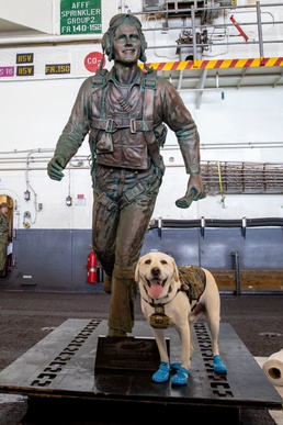 USS George H.W. Bush Recieves Puppy Love and Kisses
