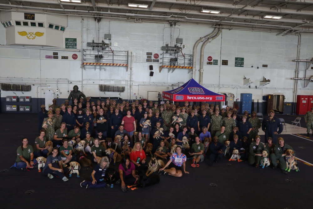 USS George H.W. Bush Puppies on the Pier