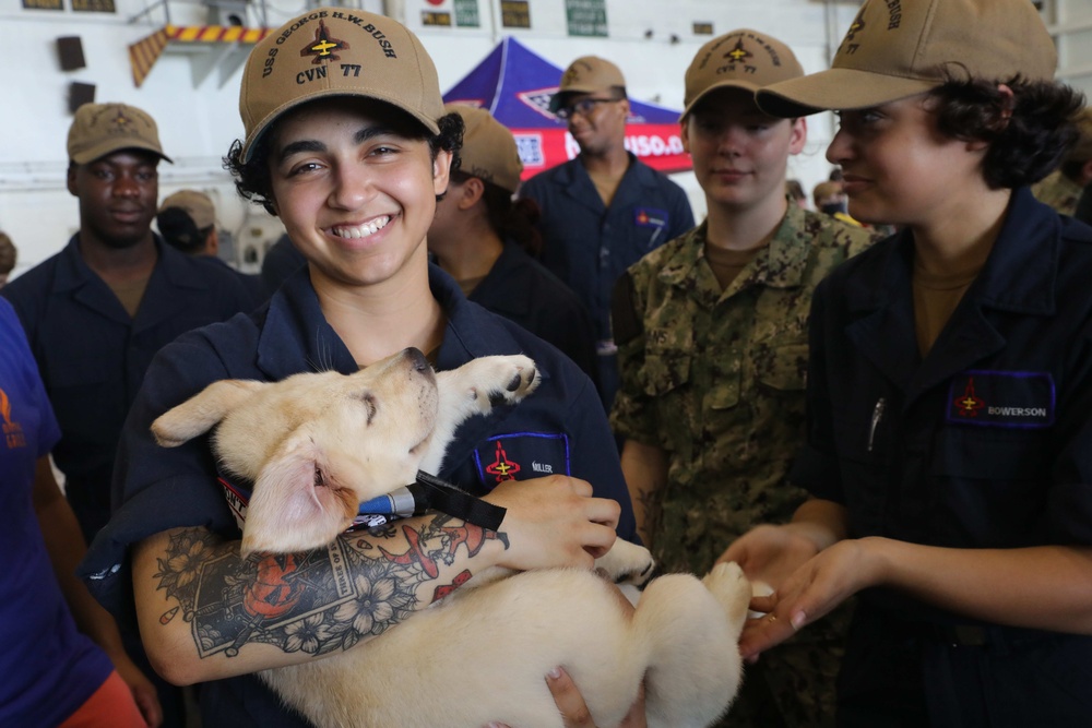 USS George H.W. Bush Puppies on the Pier