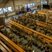 Pre-Deployment Function streamlines outprocessing ahead of NATO Air Shielding mission
